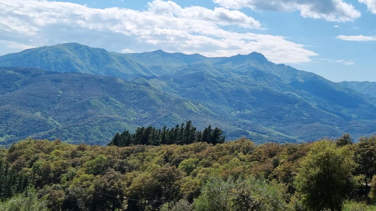 Ca La Pauleta Villa Sant Hilari Sacalm Eksteriør billede