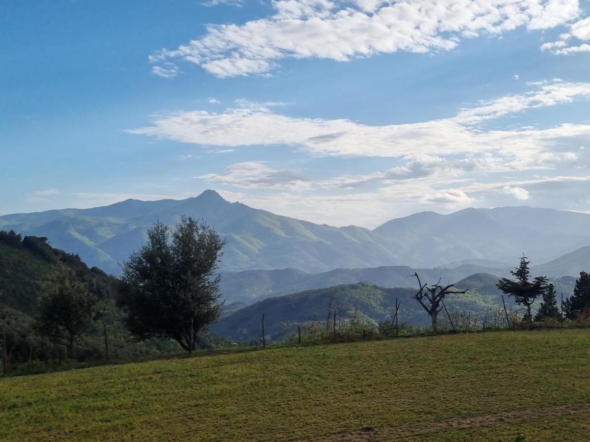 Ca La Pauleta Villa Sant Hilari Sacalm Eksteriør billede